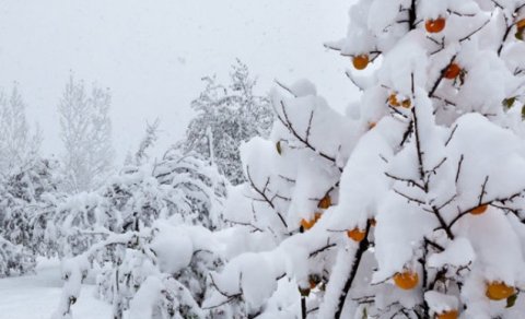 Hava kəskin dəyişəcək - XƏBƏRDARLIQ