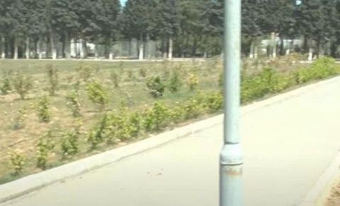 Böyük futbola ehtiyac olmayanda: Sumqayıtda stadionun ortasından yol çəkildi - VİDEO