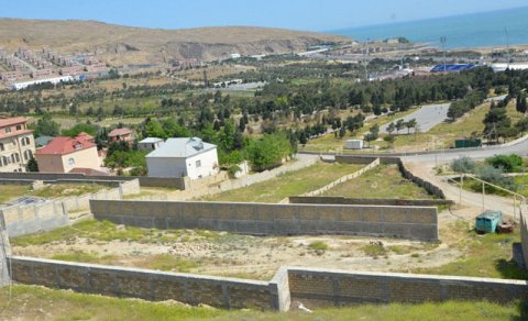 Torpaqlardan qanunsuz istifadə halları araşdırılıb - FAKTLAR