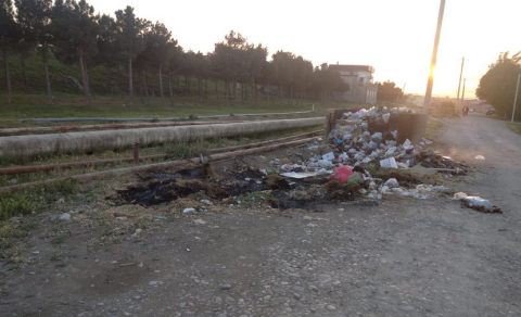 Hökməli bələdiyyəsinin işçisi cəzalandırıldı - FOTO