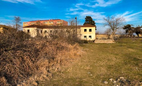 Salyanda torpaq sahələrini işğal edən oliqarxlar