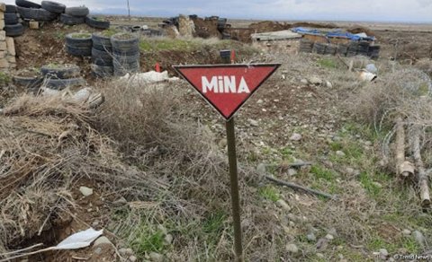 Politoloq minalanmış sahələrin qısa vaxtda təmizlənmə yolunu göstərdi