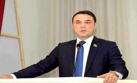 Deputatın atası ağacları qırdırıb, bağ salır - sənədlər prokurorluğa göndərildi