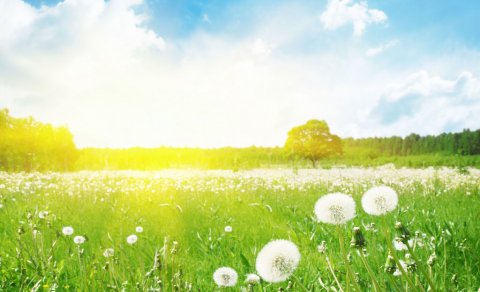 İstirahət günü temperatur 40 dərəcəyə qədər yüksələcək