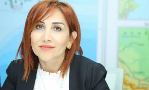 Baş verən yanğınların böyük əksəriyyətində insan faktoru var - Nazirlik rəsmisi
