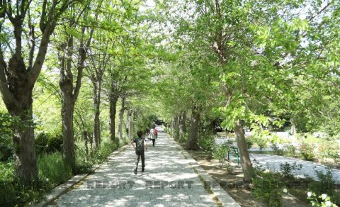 Bakıda yeni Nəbatat bağı salınacaq