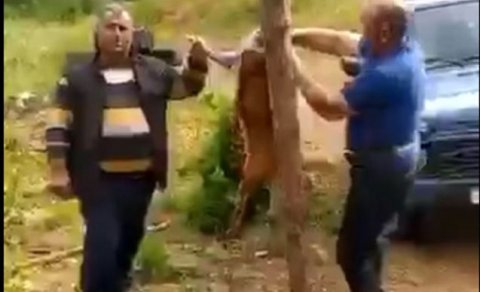 Laçında cüyür ovlayıb məclis quranlar saxlanıldı