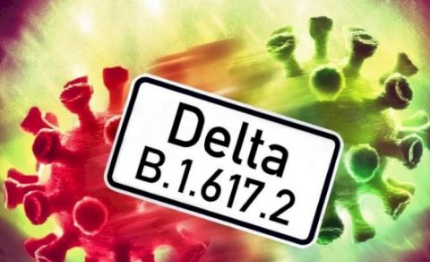 Delta” ştammı ölkəyə necə gəlib? - Rəsmi açıqlama