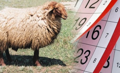 Sabahdan bayram tətili BAŞLAYIR