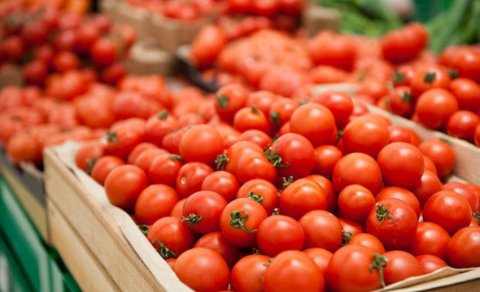 Azərbaycanın 187 müəssisəsindən Rusiyaya pomidor ixracına icazə verildi