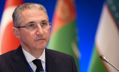Nazir Lənkərandakı meşə qalmaqalına görə direktoru işdən QOVDU