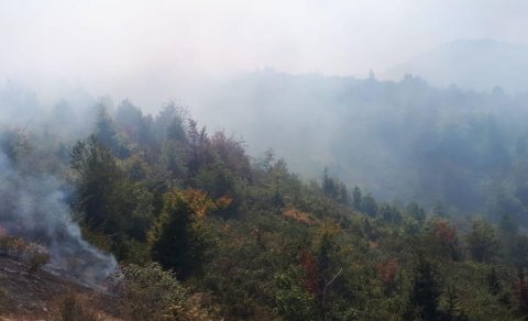 Qəbələdə meşə yanğınları davam edir