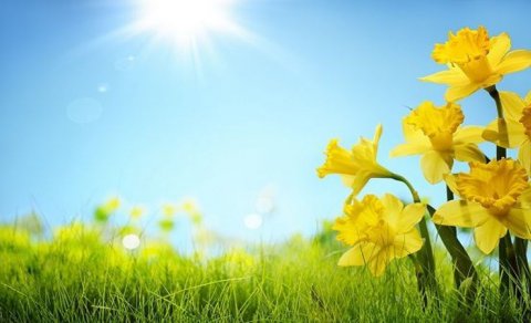 Avqust ayının son gününə olan hava proqnozu