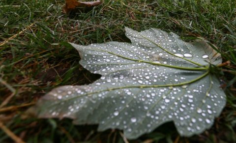 Sabahın hava proqnozu