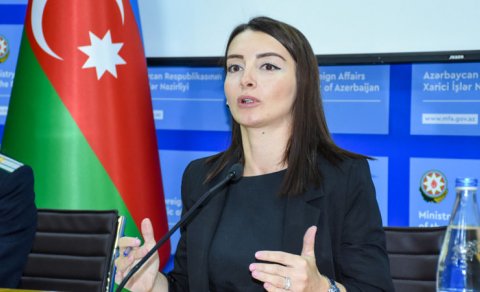 Azərbaycan iki beynəlxalq məhkəmədə Ermənistana qarşı iddia qaldırıb - Leyla Abdullayeva