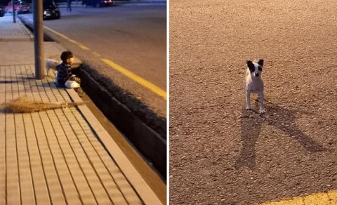 Azərbaycanda çəkilən bu görüntü böyük marağa səbəb oldu (FOTO)