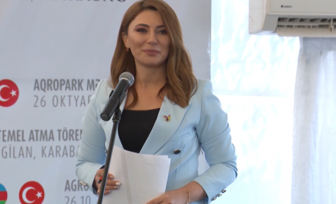 Zəngilan xəbərini göz yaşları ilə çatdıran aparıcı İlham Əliyev və Ərdoğanla görüşdü (VİDEO)