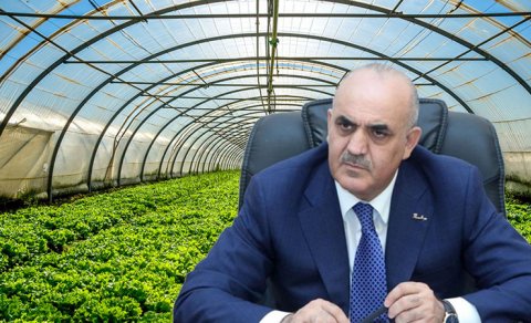 Sabiq nazirin şirkəti məhkəməyə verildi
