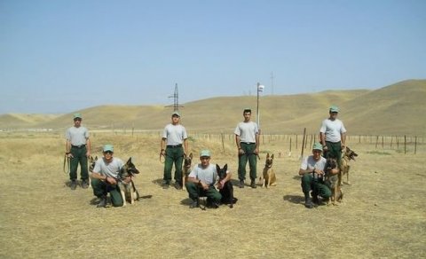 ABŞ Azərbaycana 40 mina axtaran it hədiyyə etdi