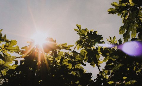 Sabahın hava proqnozu