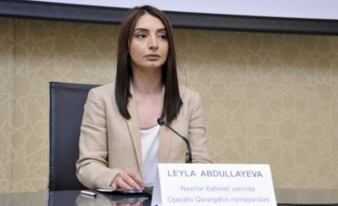 Yaxın aylarda keçmiş məcburi köçkünlər evlərinə qayıdacaq - Leyla Abdullayeva