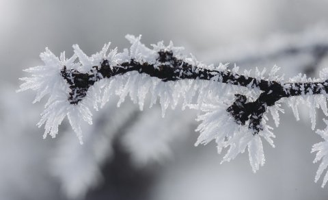 Sabah 5 dərəcə şaxta olacaq