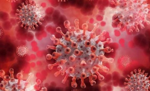 Koronavirusun yeni variantı AŞKARLANDI