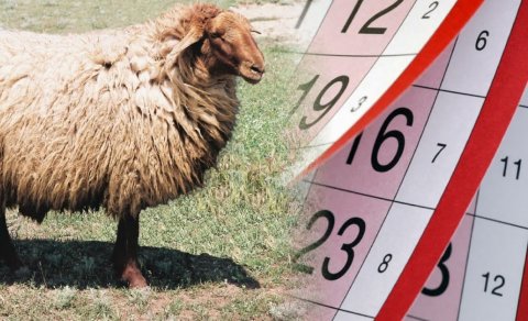 Gələn il üçün Qurban bayramının tarixi AÇIQLANDI