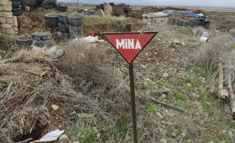 ANAMA Goranboyda minaya düşən şəxslə bağlı MƏLUMAT YAYDI