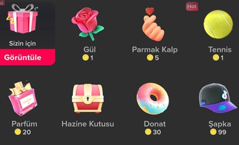 “TikTok insanları canlı yayımda meymuna çevirir” - Yeni dilənçilik növü