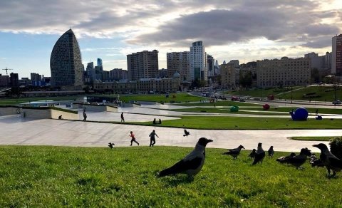 Sabaha olan hava proqnozu