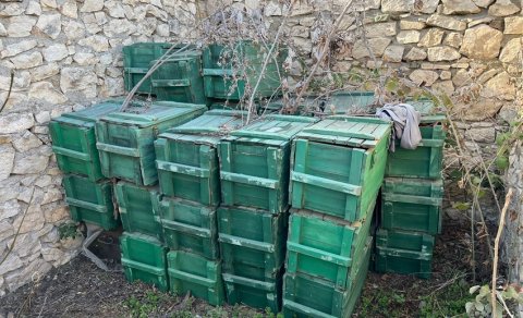 Cəbrayılda xeyli sayda mina aşkarlandı (FOTOLAR)