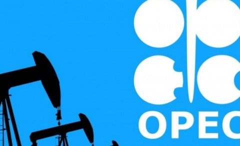 OPEC Azərbaycanla bağlı proqnozunu açıqladı