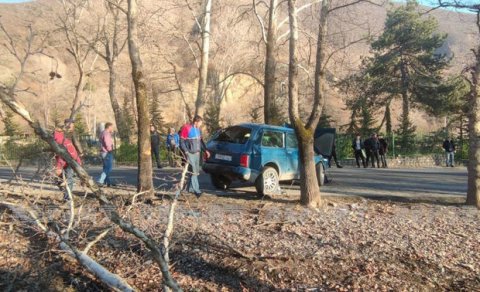 Şəkidə ağaca çırpılan “Niva” aşdı, dörd nəfər xəsarət aldı: Yaralıların ADLARI/YENİLƏNİB  - FOTO