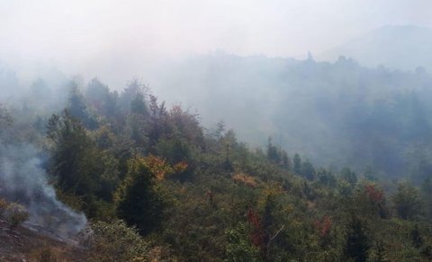 İlisu Dövlət Təbiət Qoruğunun ərazisində baş vermiş yanğın söndürülüb