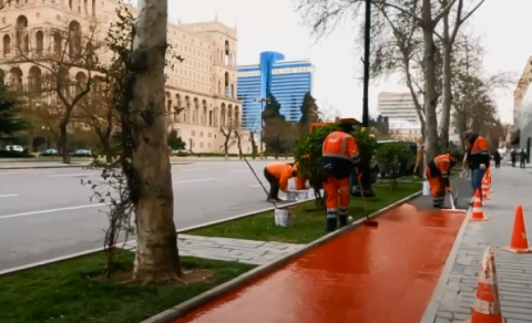 Bakıda velosiped yolları qurulur - VİDEO