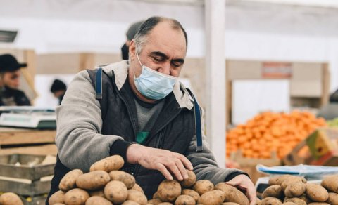 Kartof və soğanın bahalaşmasının səbəbi açıqlandı