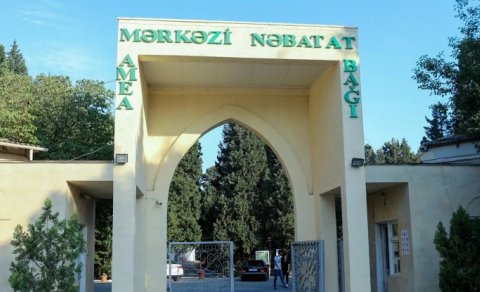 Mərkəzi Nəbatat Bağındakı qanunsuz tikililər sökülür