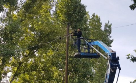 Göyçayda güclü külək ağacları aşırıb, elektrik xətlərini qırıb - FOTO