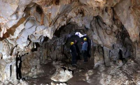 Keçisini axtararkən mağaraya girən şəxs inanılmaz mənzərə ilə üzləşdi: Əcaib varlıqların FOTOLARI