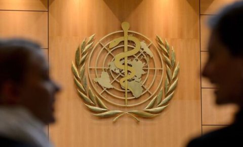 Azərbaycan ÜST-dən meymunçiçəyi testi istədi