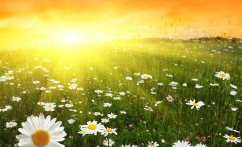 Sabahın hava proqnozu