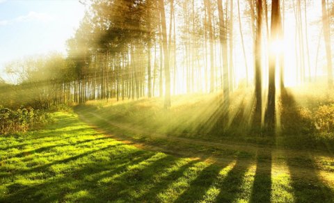 Sabahın hava proqnozu