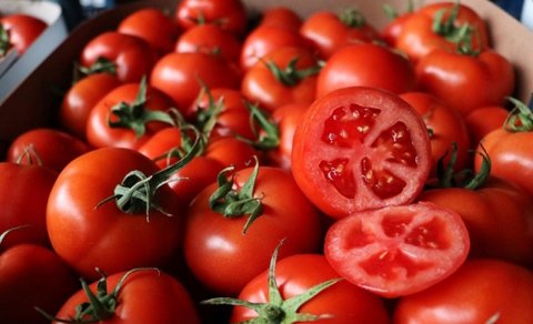 Pomidorun qiyməti 1,50 qəpikdən 4 manata bahalaşdı -  Səbəb nədir?