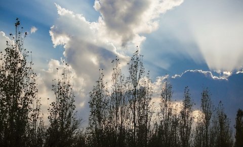 Bazar gününə olan hava proqnozu