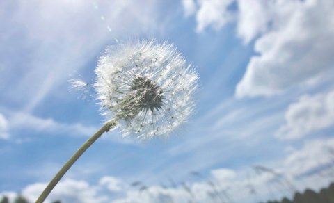 Sabahın hava proqnozu