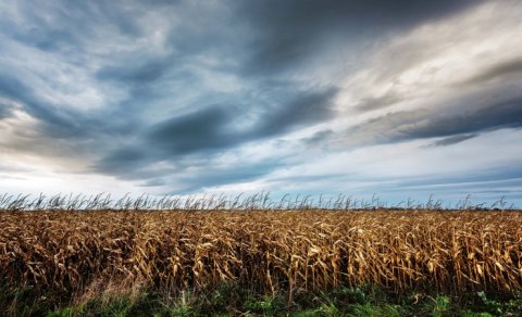 Şənbə gününün hava proqnozu