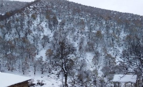 Bu tarixdən hava kəskin dəyişir, temperatur 0°yə düşəcək - XƏBƏRDARLIQ