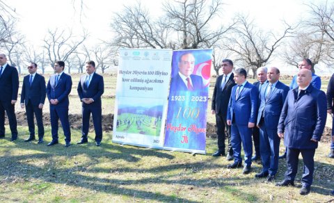 Ağstafada Heydər Əliyevin 100 illik yubileyi ilə əlaqədar ağacəkmə aksiyası keçirildi - FOTOLAR