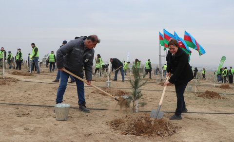 Heydər Əliyevin 100 illik yubileyi ilə əlaqədar növbəti ağacəkmə aksiyası keçirilib